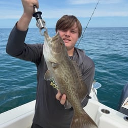 Fishing in Tarpon Springs, Florida
