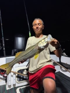 Fishing in St. Petersburg, Florida