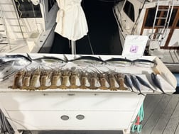 Fishing in Key West, Florida