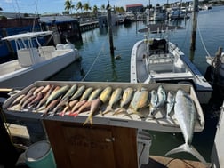 Fishing in Key West, Florida