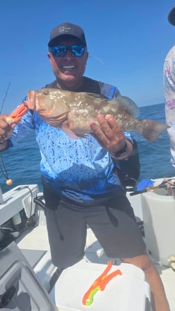Fishing in Sarasota, Florida
