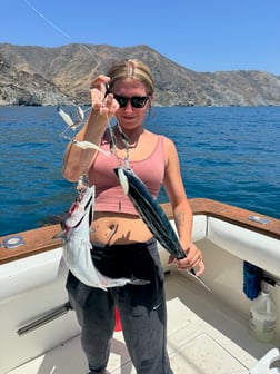 Fishing in Long Beach, California