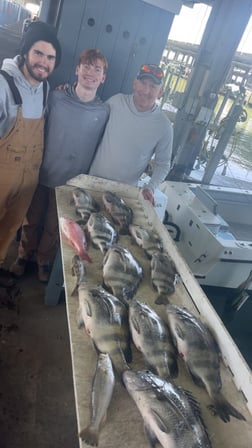 Fishing in Galveston, Texas