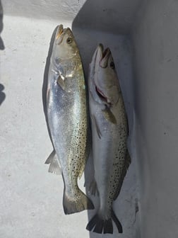 Fishing in Fort Walton Beach, Florida