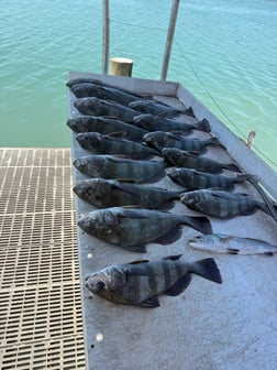 Fishing in South Padre Island, Texas