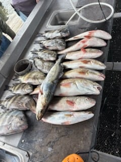 Fishing in Lake Charles, Louisiana