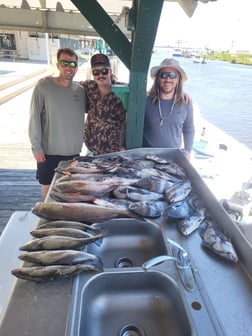 Flounder, Redfish, Sheepshead, Speckled Trout Fishing in Sulphur, Louisiana