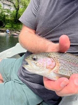 Fishing in Buffalo Valley, Tennessee