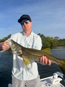 Fishing in Tarpon Springs, Florida