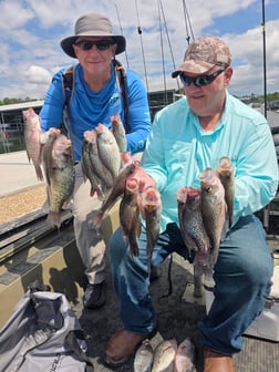 Fishing in Harrison, Tennessee