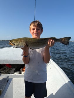 Fishing in Orange Beach, Alabama