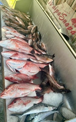 Fishing in D'Iberville, Mississippi