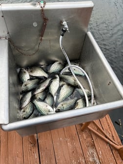 Fishing in Alba, Texas