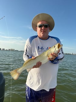 Fishing in Largo, Florida