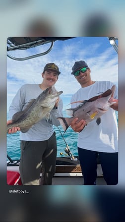 Fishing in St. Petersburg, Florida