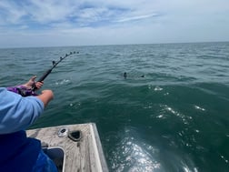 Fishing in Keyport, New Jersey