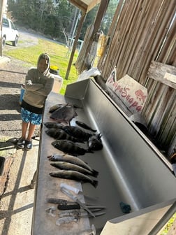 Fishing in D'Iberville, Mississippi