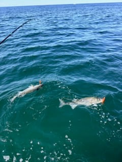 Fishing in Truro, Massachusetts