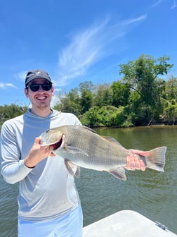Fishing in Naples, Florida