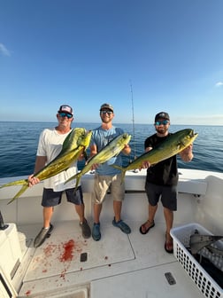 Fishing in Miami Beach, Florida
