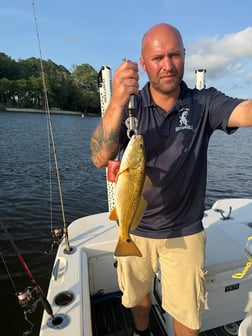 Fishing in Dauphin Island, Alabama