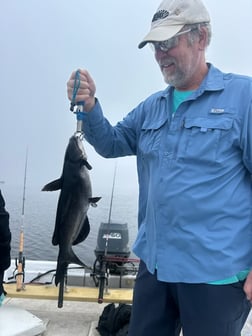 Fishing in Port Orange, Florida