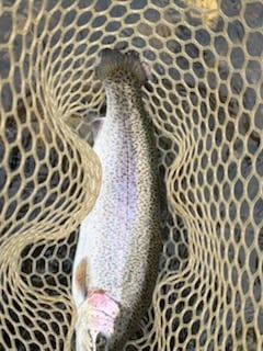 Fishing in Broken Bow, Oklahoma