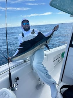 Fishing in Key Biscayne, Florida