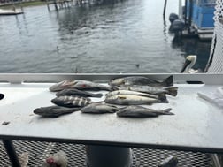 Fishing in Crystal River, Florida