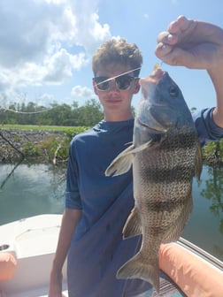 Fishing in Fort Myers Beach, Florida