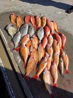 Fishing in Port Orange, Florida