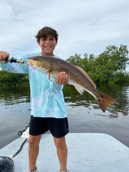Fishing in Port Charlotte, Florida