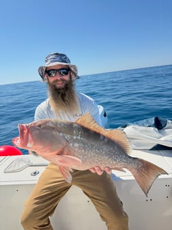 Fishing in Sarasota, Florida