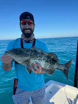 Fishing in Clearwater, Florida