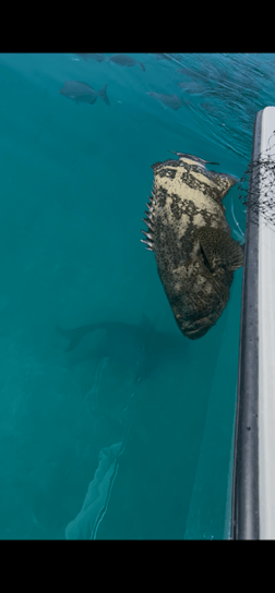 Fishing in Key Largo, Florida