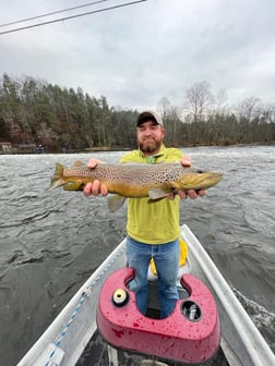 Rainbow Trout Fishing in Leicester, North Carolina