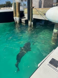 Fishing in Key West, Florida