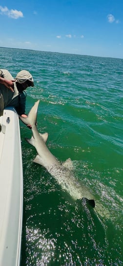 Fishing in Cape Coral, Florida