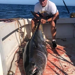 Fishing in San Diego, California