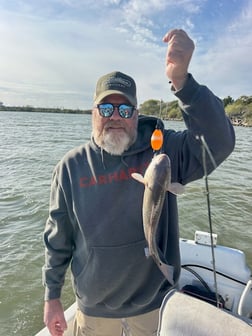 Fishing in Galveston, Texas