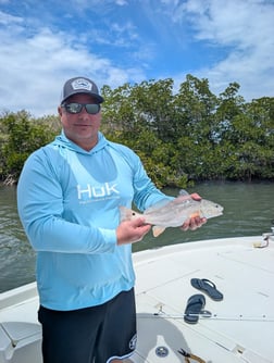 Fishing in New Smyrna Beach, Florida