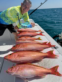 Fishing in Islamorada, Florida