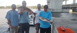 Fishing in Panama City Beach, Florida