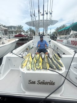 Fishing in Tavernier, Florida