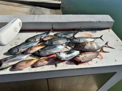 Fishing in Islamorada, Florida