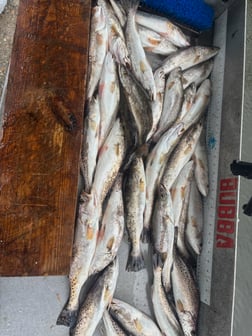 Fishing in New Orleans, Louisiana