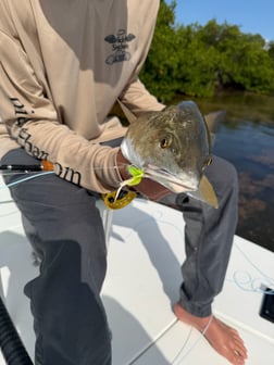 Fishing in Key Largo, Florida