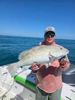 Fishing in Port Orange, Florida