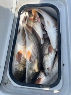 Fishing in South Padre Island, Texas
