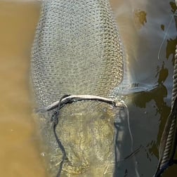 Fishing in Lufkin, Texas
